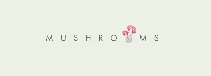 Mushrooms品牌设计